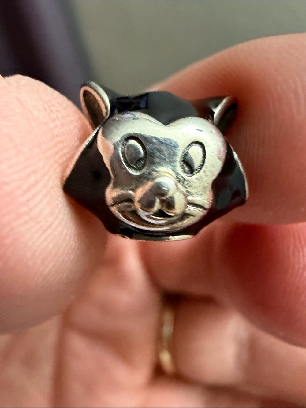 Disney Pandora Figaro Portrait Charm #797488EN16